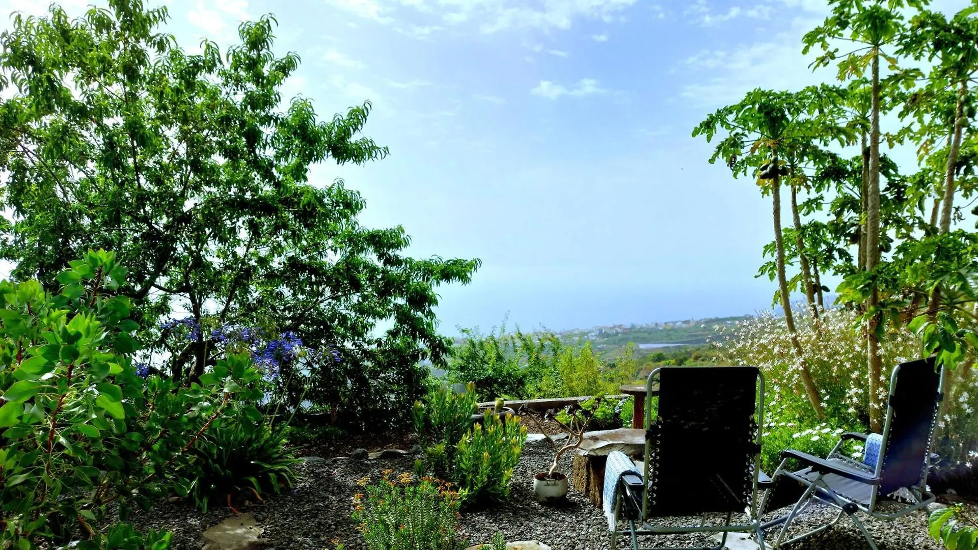 Eloina Villa Barlovento Holiday home